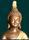 Insight Meditation Community Houston